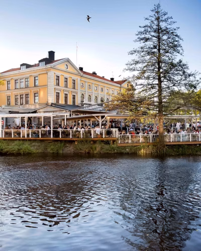 Frinisträdgård180509033_JPG